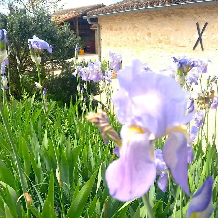 La Maison Pop-70's-spot Nature-b&b *