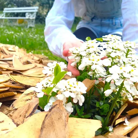 Tatil Evi La Maison Pop-70's-spot Nature-b&b Sarrant