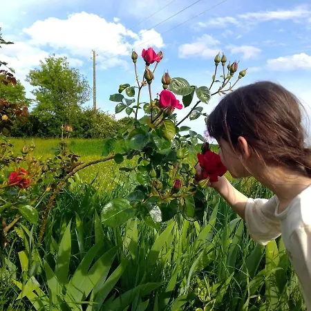 La Maison Pop-70's-spot Nature-b&b Tatil Evi *