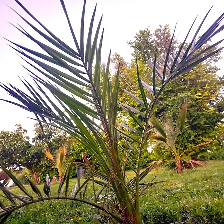 La Maison Pop-70's-spot Nature-b&b *