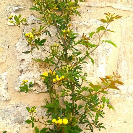 La Maison Pop-70's-spot Nature-b&b Sarrant