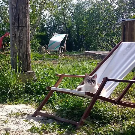 Tatil Evi La Maison Pop-70's-spot Nature-b&b Sarrant