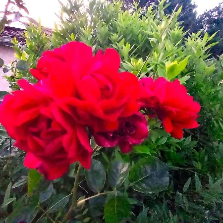 La Maison Pop-70's-spot Nature-b&b Tatil Evi