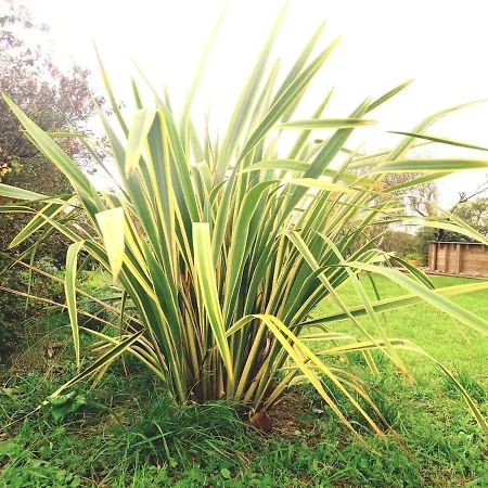 La Maison Pop-70's-spot Nature-b&b