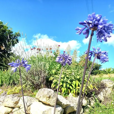 La Maison Pop-70's-spot Nature-b&b Sarrant