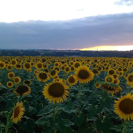 La Maison Pop-70's-spot Nature-b&b * Sarrant