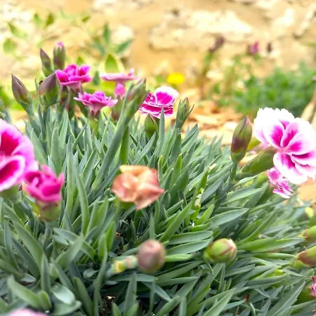 La Maison Pop-70's-spot Nature-b&b