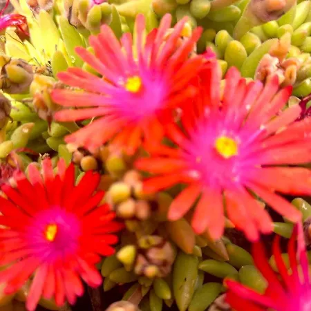 La Maison Pop-70's-spot Nature-b&b *