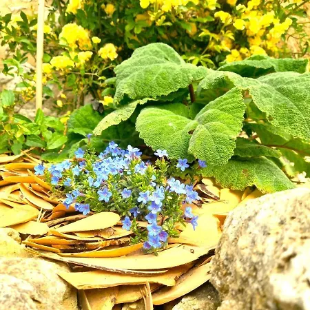 La Maison Pop-70's-spot Nature-b&b Tatil Evi