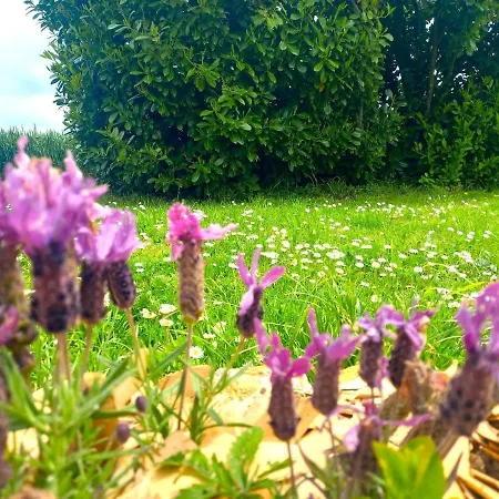 Tatil Evi La Maison Pop-70's-spot Nature-b&b Sarrant