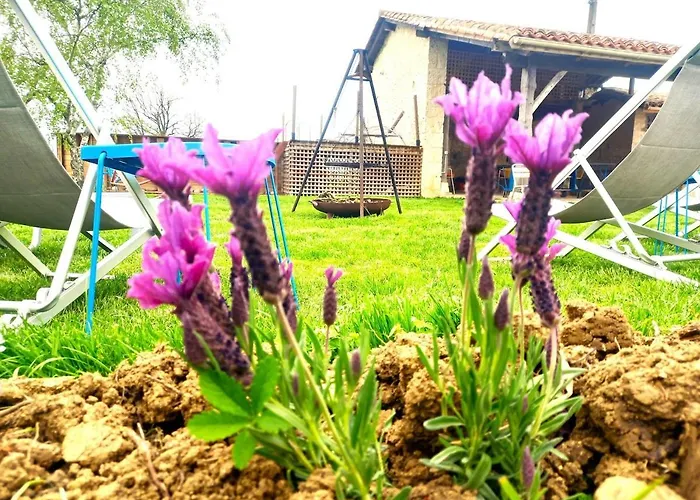 La Maison Pop-70's-spot Nature-b&b Hébergement de vacances Sarrant