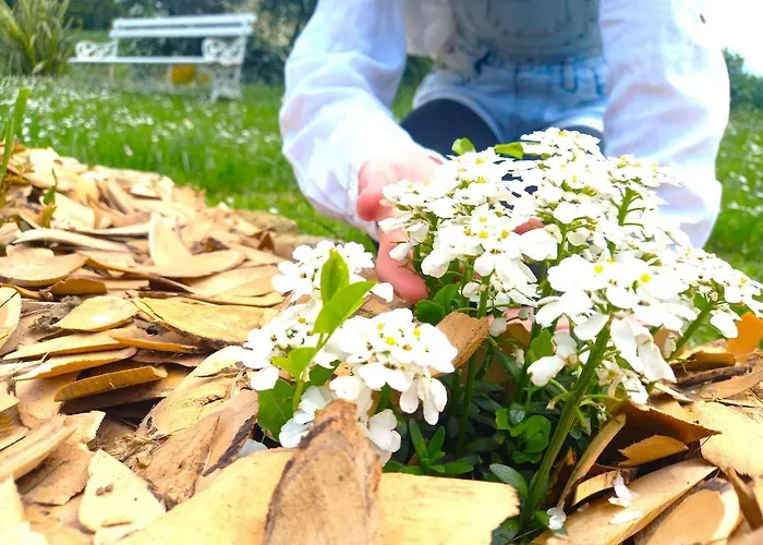 Hébergement de vacances La Maison Pop-70's-spot Nature-b&b Sarrant