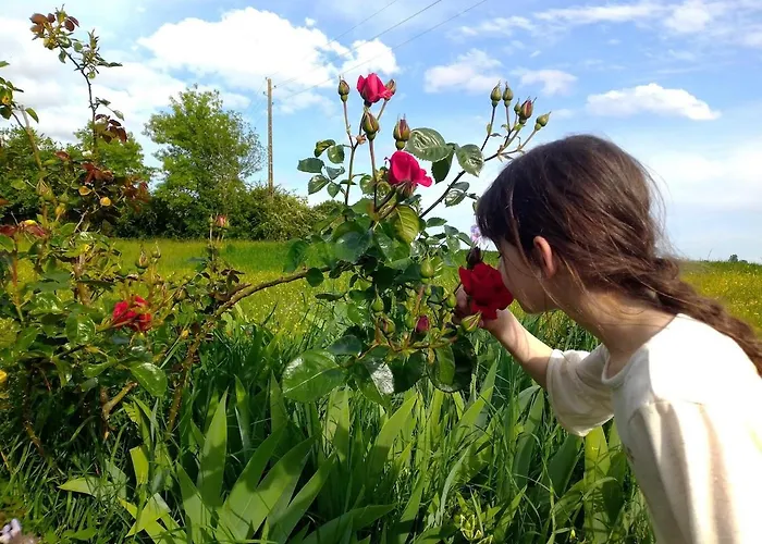 La Maison Pop-70's-spot Nature-b&b Hébergement de vacances *