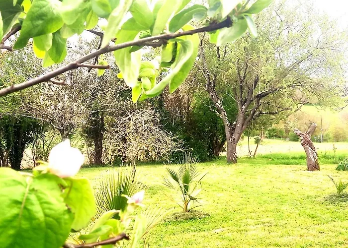 Hébergement de vacances La Maison Pop-70's-spot Nature-b&b Sarrant