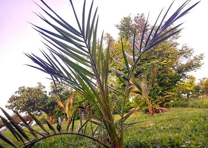 La Maison Pop-70's-spot Nature-b&b *