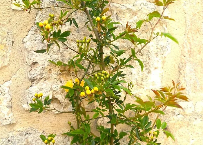 La Maison Pop-70's-spot Nature-b&b Sarrant