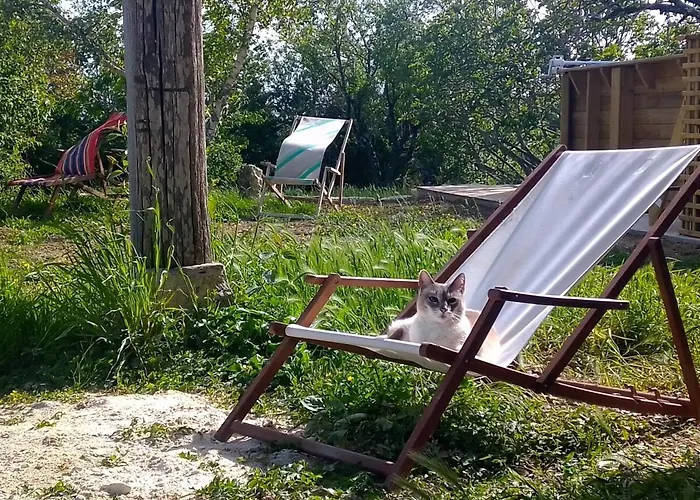 Hébergement de vacances La Maison Pop-70's-spot Nature-b&b Sarrant