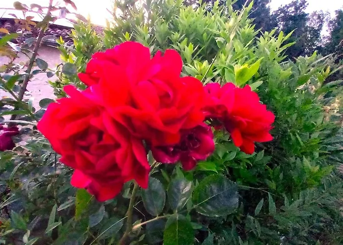 La Maison Pop-70's-spot Nature-b&b Hébergement de vacances