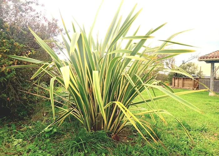 La Maison Pop-70's-spot Nature-b&b