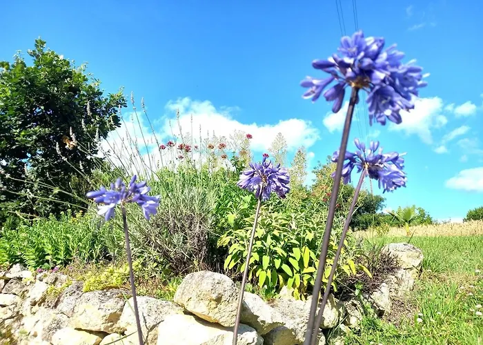 La Maison Pop-70's-spot Nature-b&b Sarrant