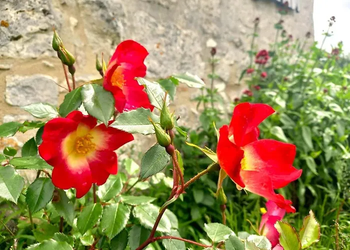 La Maison Pop-70's-spot Nature-b&b Hébergement de vacances