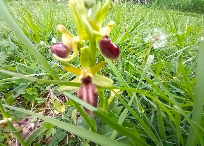 La Maison Pop-70's-spot Nature-b&b Hébergement de vacances *