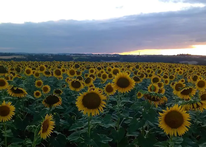 La Maison Pop-70's-spot Nature-b&b * Sarrant