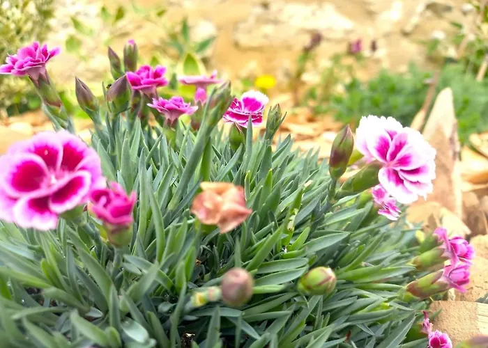 La Maison Pop-70's-spot Nature-b&b