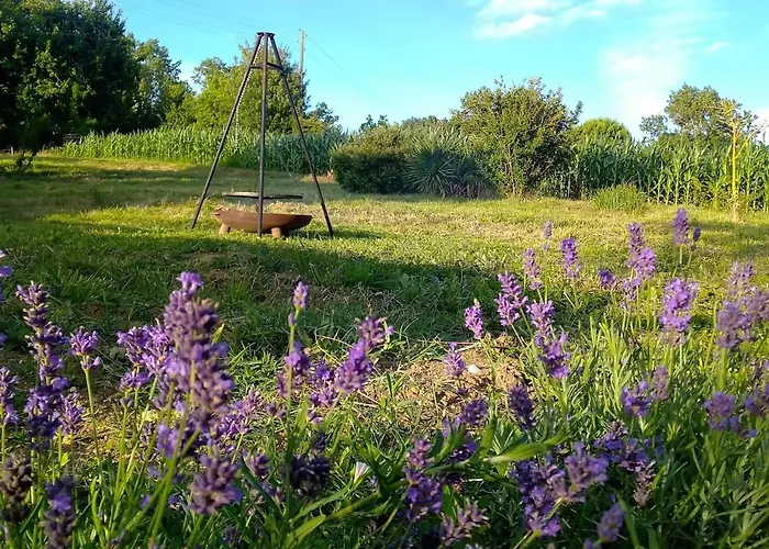 Hébergement de vacances La Maison Pop-70's-spot Nature-b&b *