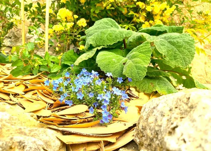 La Maison Pop-70's-spot Nature-b&b Hébergement de vacances