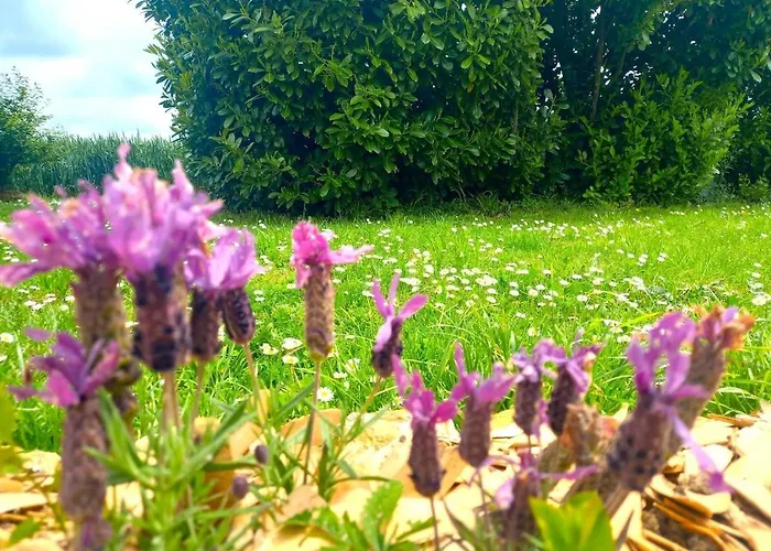 Hébergement de vacances La Maison Pop-70's-spot Nature-b&b Sarrant